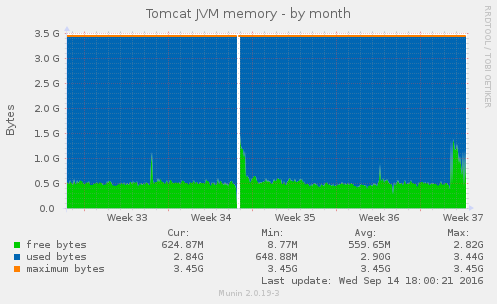 Tomcat JVM usage month